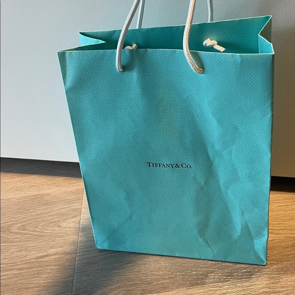 Tiffany & Co. Gift Bag - Picture 6 of 8